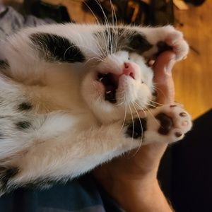 Meet your Posher, Rob